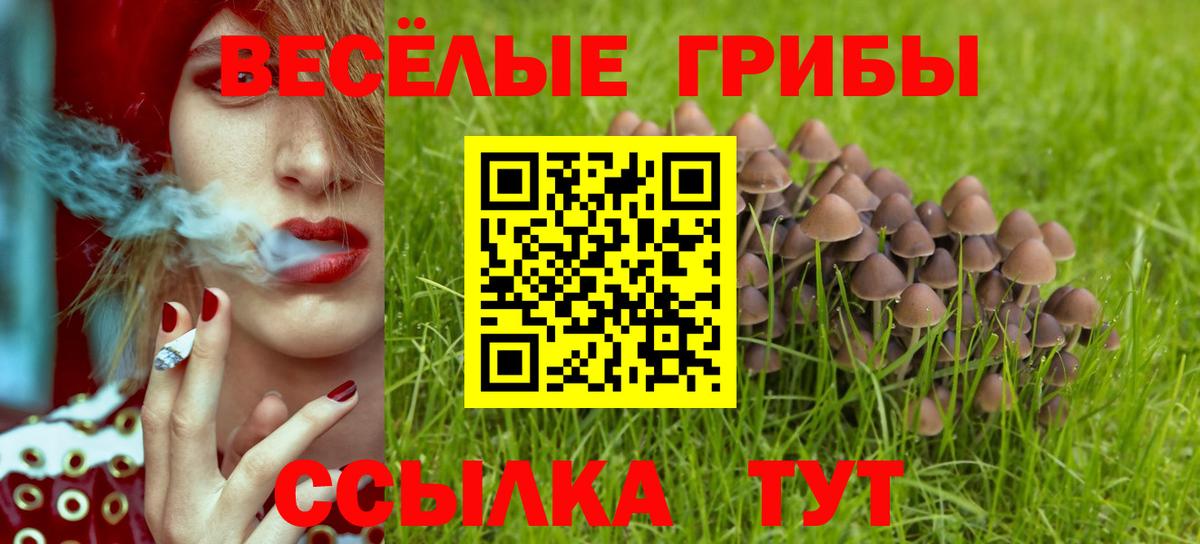 Ковров  Галлюциногенные грибы ЛСД  Вход с VPN 